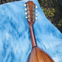 Kapotte mandoline
